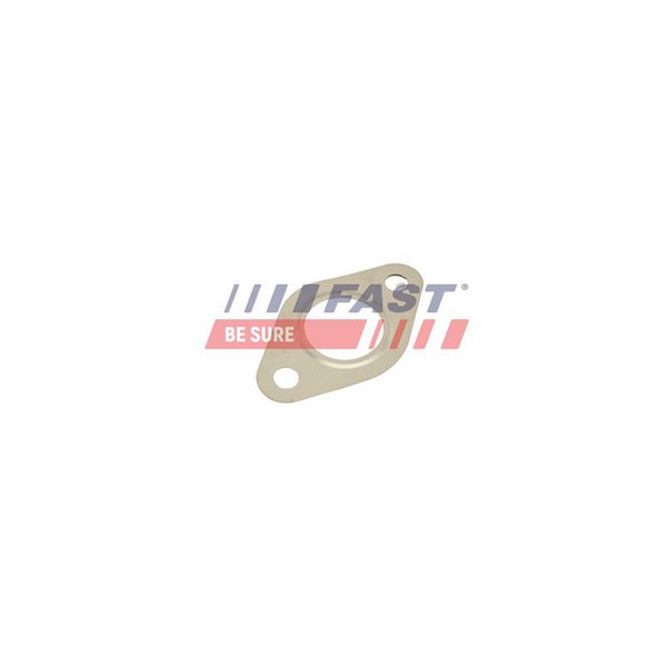 Packning EGR-ventil Fast FT50615 FAST