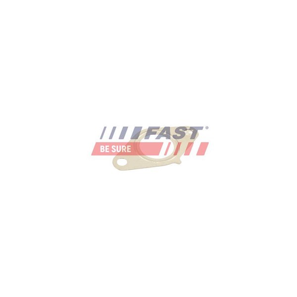 Packning EGR-ventil Fast FT50616 FAST