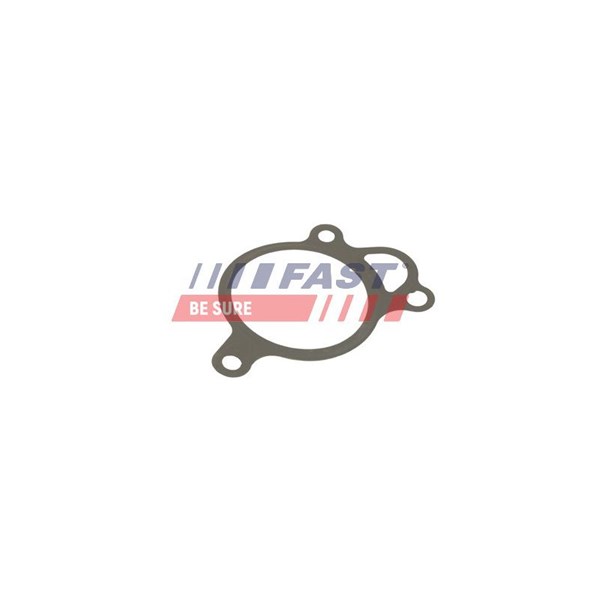 Packning EGR-ventil Fast FT50619 FAST