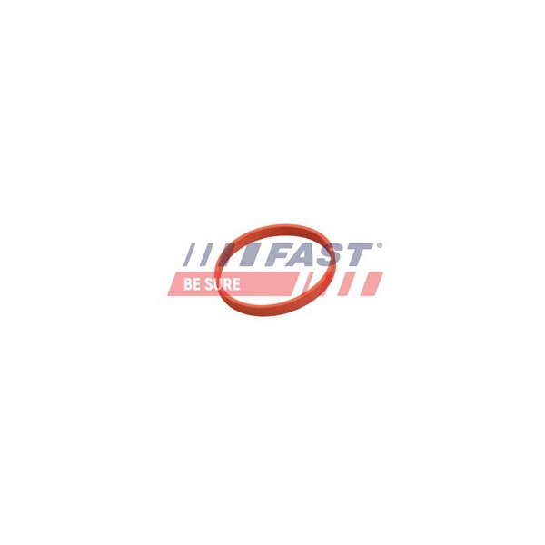 Packning EGR-ventil Fast FT50628 FAST