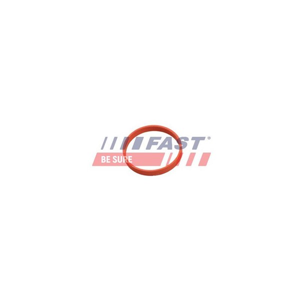 Packning EGR-ventil Fast FT50628 FAST