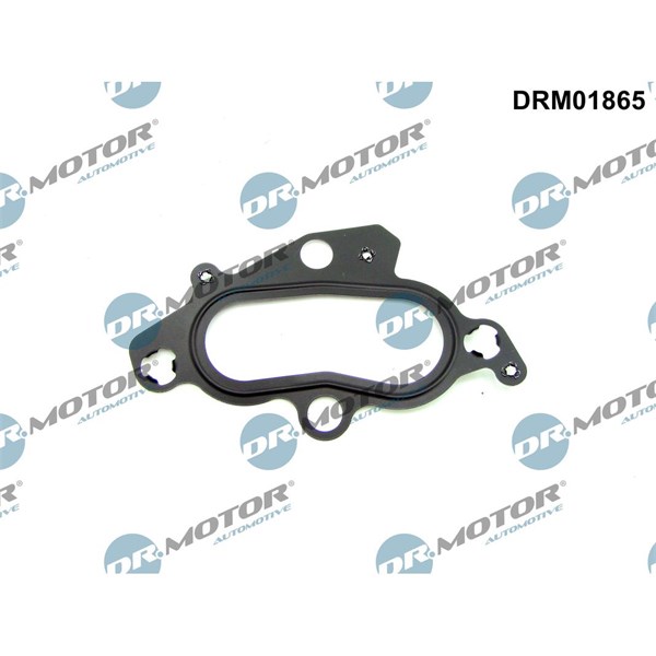 Packning, termostathus Dr.motor automotive DRM01865 Dr.Motor Automotive