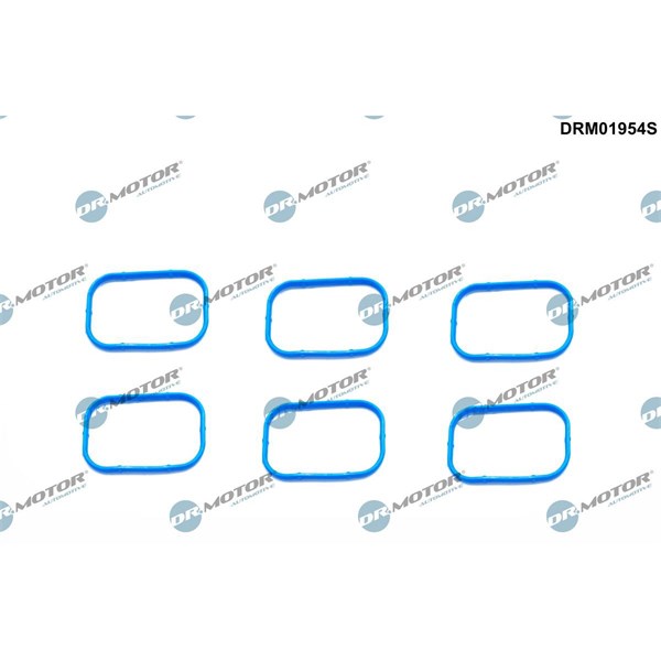 Packningssats, insug, grenrör Dr.motor automotive DRM01954S Dr.Motor Automotive