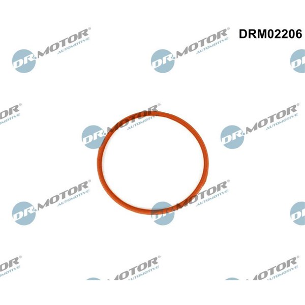 Packning, insugsgrenrör, Ingång Dr.motor automotive DRM02206 Dr.Motor Automotive