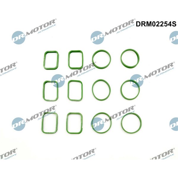 Packningssats, insug, grenrör Dr.motor automotive DRM02254S Dr.Motor Automotive