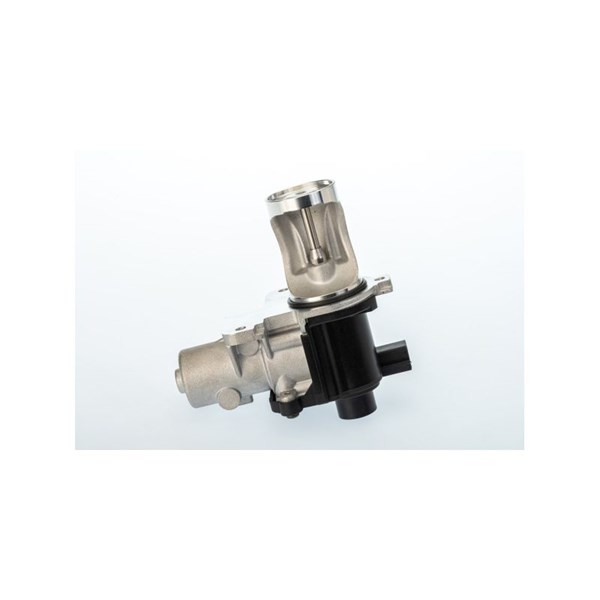 Egr-ventil Borgwarner (wahler) 710571D BorgWarner (Wahler)