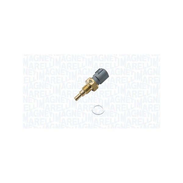 Sensor, kylvätsketemperatur Magneti marelli 171916011880 MAGNETI MARELLI