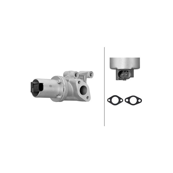 Egr-ventil 12V Hella 6NU 014 865-781 HELLA