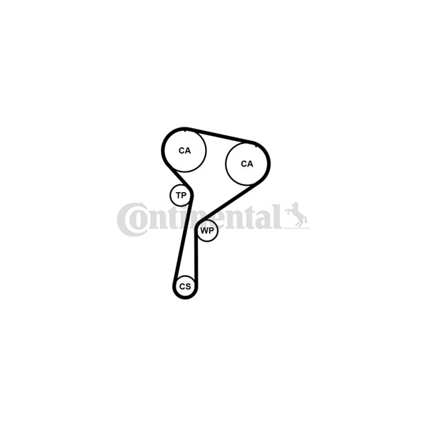 Kamrem Contitech CT1244 CONTITECH Kamrem Contitech CT1244 CONTITECH
