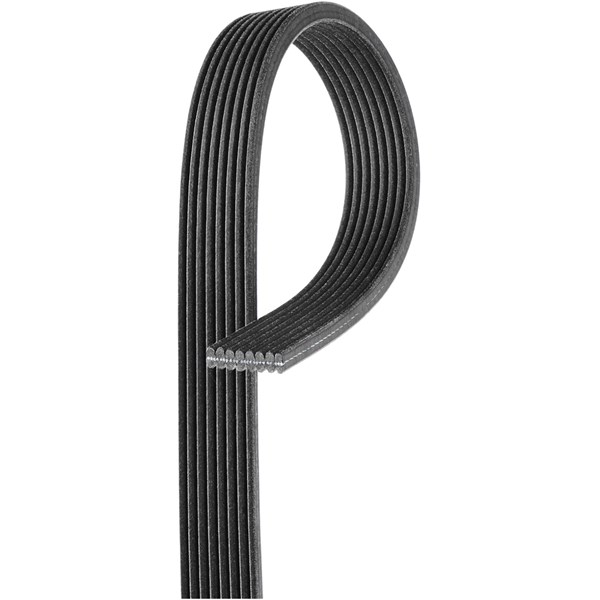 Drivrem Gates 8DPK1355 Gates