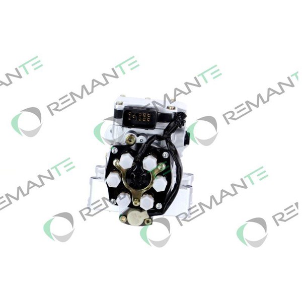 Insprutningspump Remante 002-001-000005R REMANTE Insprutningspump Remante 002-001-000005R REMANTE