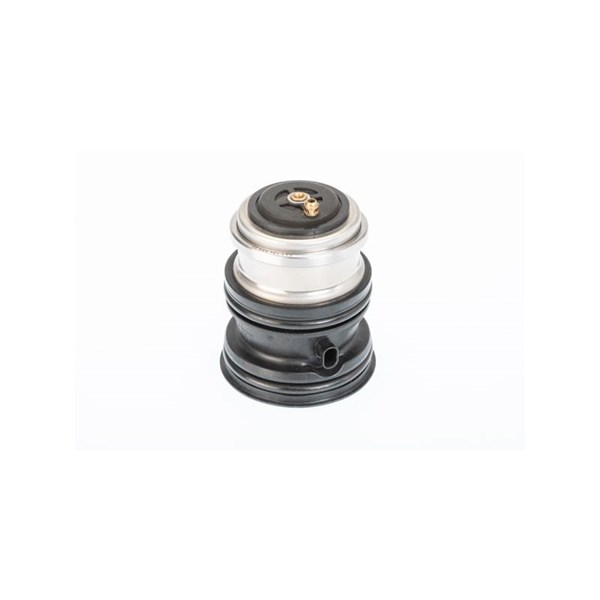 Termostat, kylvätska Borgwarner (wahler) 410448.107D BorgWarner (Wahler)
