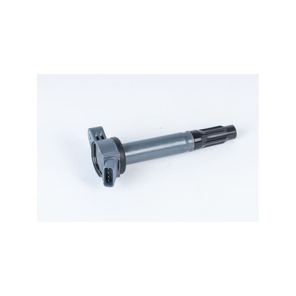 Tändspole 12V Beru ZSE202 BERU