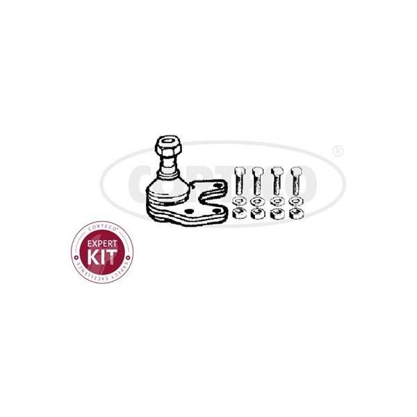 Kulled / Spindelled, Nedre framaxel Corteco 49395709 CORTECO