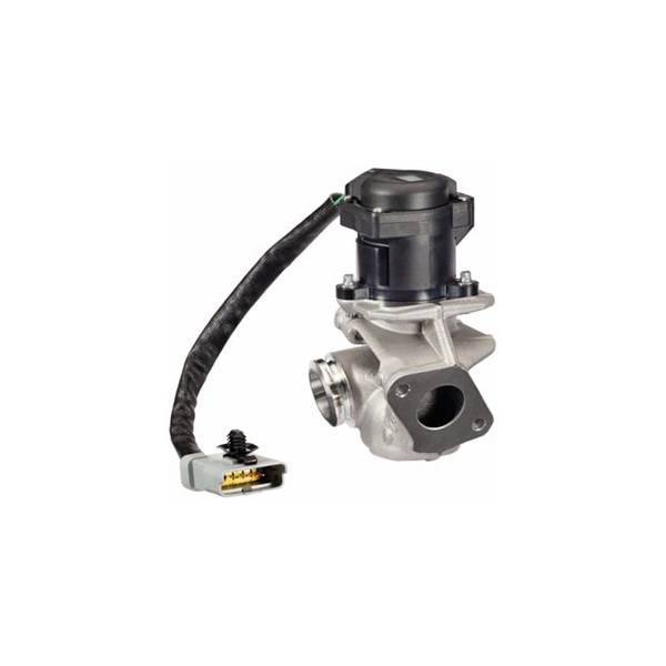Egr-ventil 12V Hella 6NU 010 171-131 HELLA