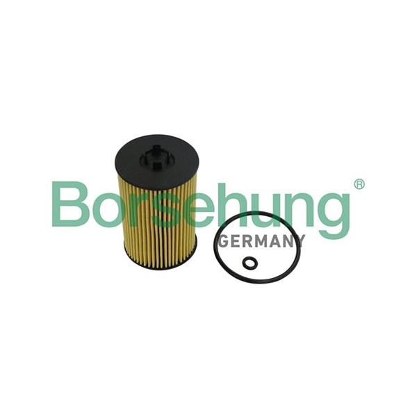 Oljefilter Borsehung B10532 Borsehung