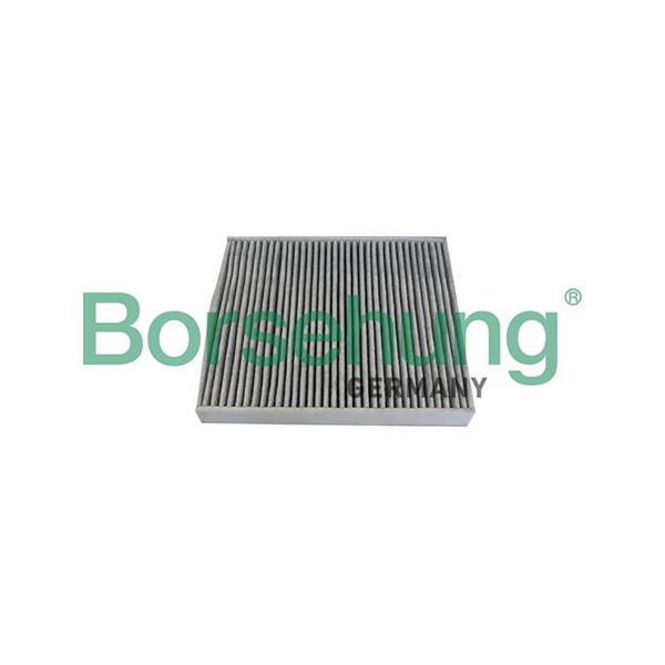 Kupefilter Borsehung B10534 Borsehung