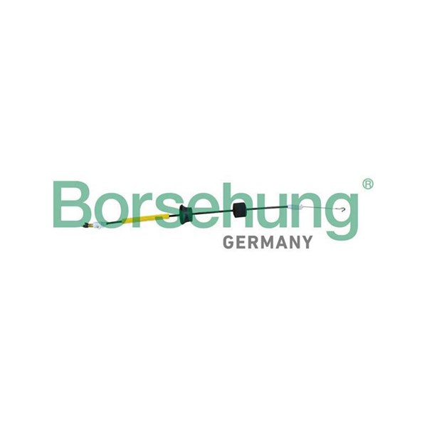 Dörrhandtagskontroll, Fram Borsehung B10787 Borsehung