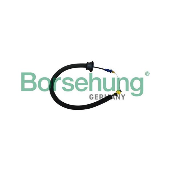 Dörrhandtagskontroll, Fram Borsehung B10789 Borsehung