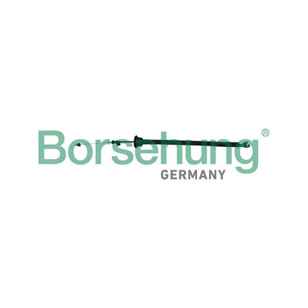Dörrhandtagskontroll, Bak Borsehung B10790 Borsehung