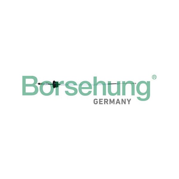 Dörrhandtagskontroll, Fram Borsehung B10792 Borsehung