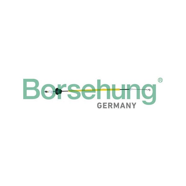 Dörrhandtagskontroll, Bak Borsehung B10793 Borsehung