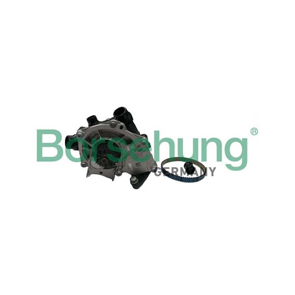 Vattenpump Borsehung B11210 Borsehung