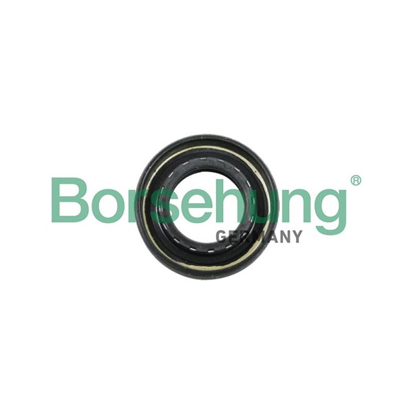 Oljepackningsring, manuell transmission Borsehung B12194 Borsehung