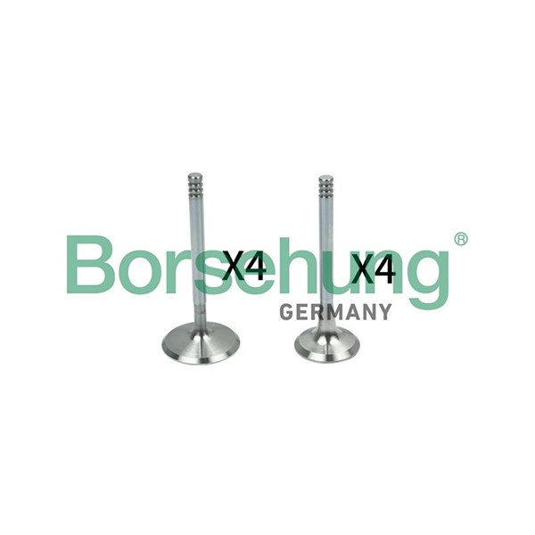 Ventilsats, inlopps-/utloppsventil Borsehung B18148 Borsehung