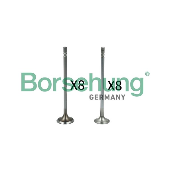 Ventilsats, inlopps-/utloppsventil Borsehung B18632 Borsehung