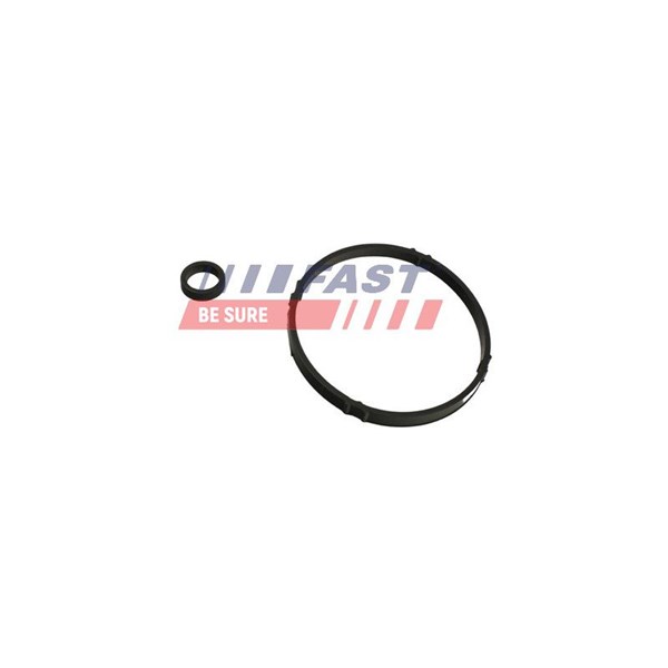 Packning, oljekylare Fast FT48952 FAST