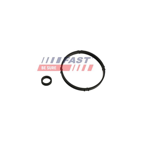 Packning, oljekylare Fast FT48952 FAST