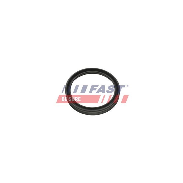 Insug, luftfilter Fast FT48956 FAST