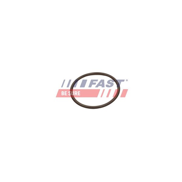 Insug, luftfilter Fast FT49933 FAST