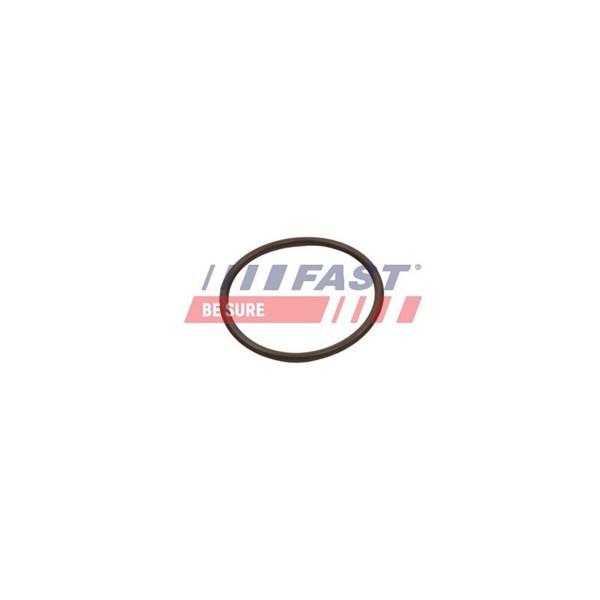 Insug, luftfilter Fast FT49933 FAST
