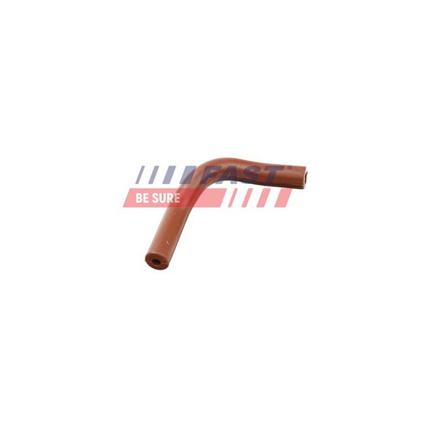 Rörledning, EGR-ventil Fast FT63808 FAST