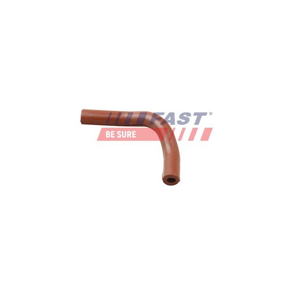 Rörledning, EGR-ventil Fast FT63808 FAST