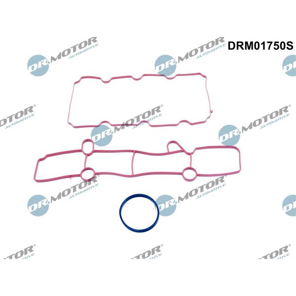 Packningssats, insug, grenrör Dr.motor automotive DRM01750S Dr.Motor Automotive