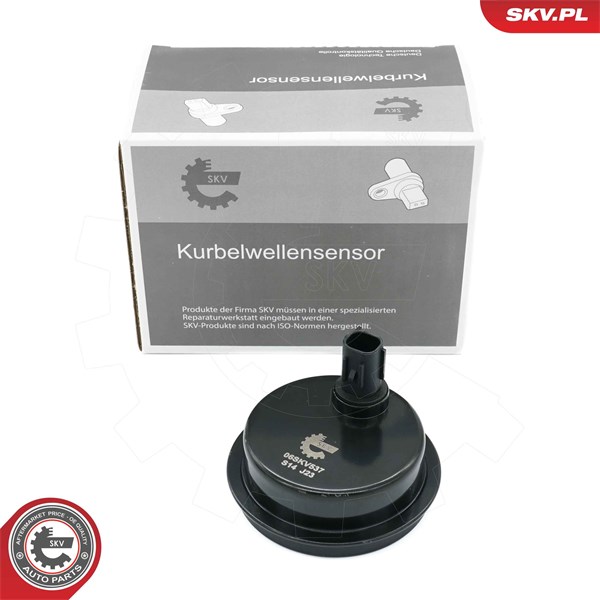 ABS-givare, Sensor, hjulvarvtal, Bakaxel, båda sidor Esen skv 06S ESEN SKV