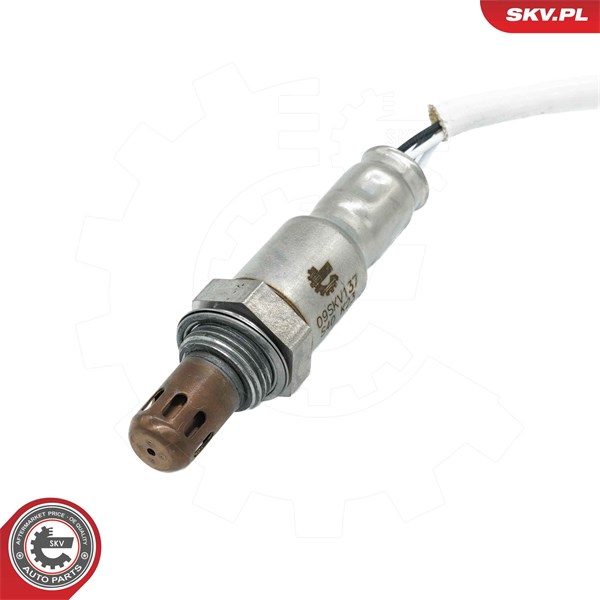 Lambdasond Esen skv 09SKV137 ESEN SKV