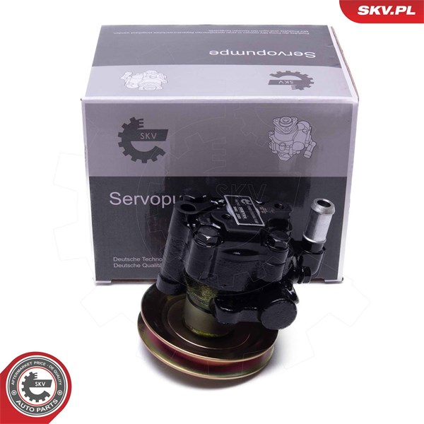 Servopump Esen skv 10SKV314 ESEN SKV