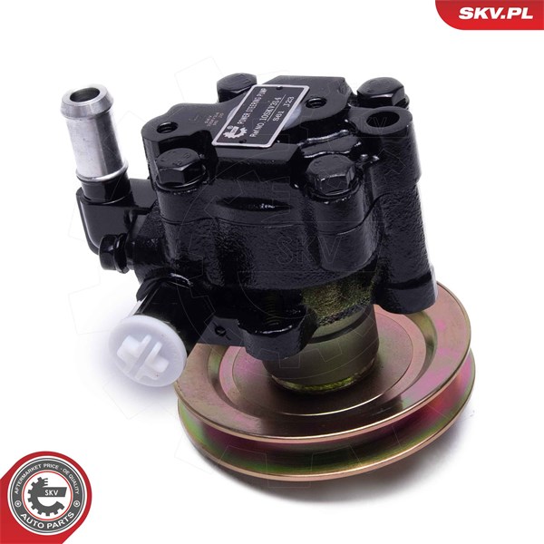 Servopump Esen skv 10SKV314 ESEN SKV