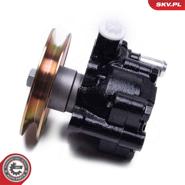 Servopump Esen skv 10SKV314 ESEN SKV