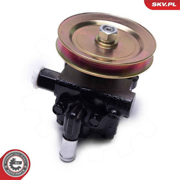 Servopump Esen skv 10SKV314 ESEN SKV