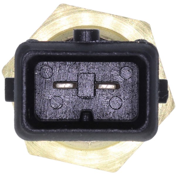 Sensor, insugslufttemperatur, Bak