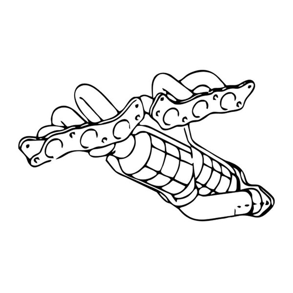 Katalysator