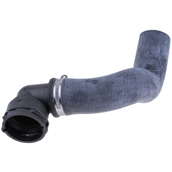 Kylarslang, Höger nedtill Nty CPP-DW-002 NTY