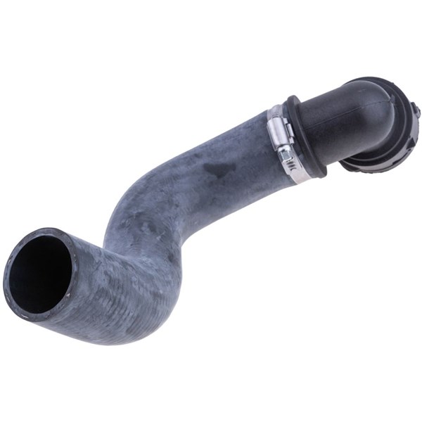 Kylarslang, Höger nedtill Nty CPP-DW-002 NTY
