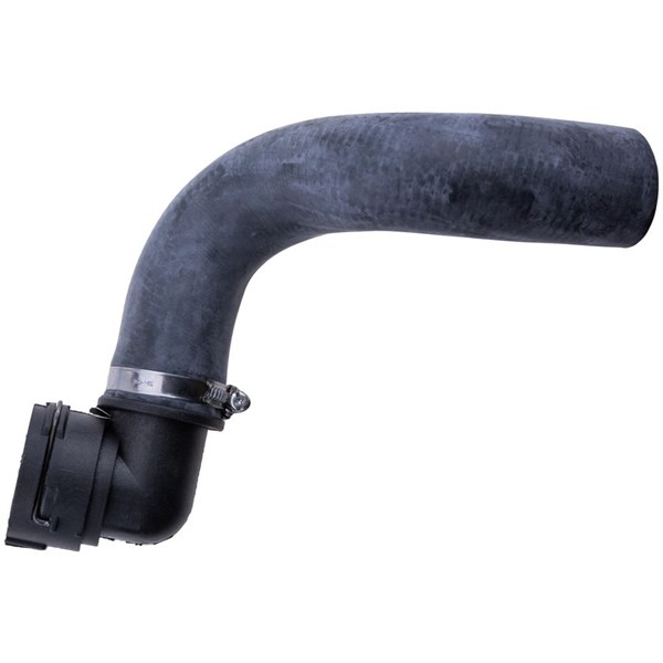 Kylarslang, Höger nedtill Nty CPP-DW-002 NTY