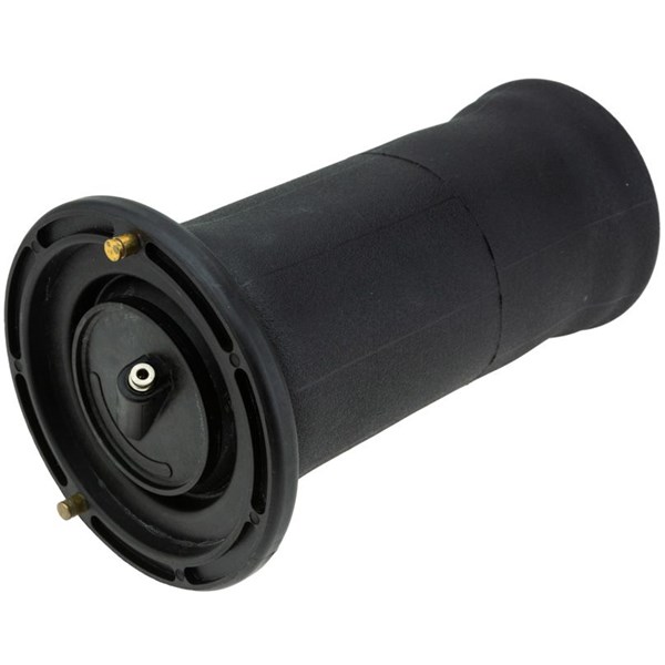Luftfjäder, hjulupphängning, Höger bak, Vänster bak Nty EZC-LR-07 NTY